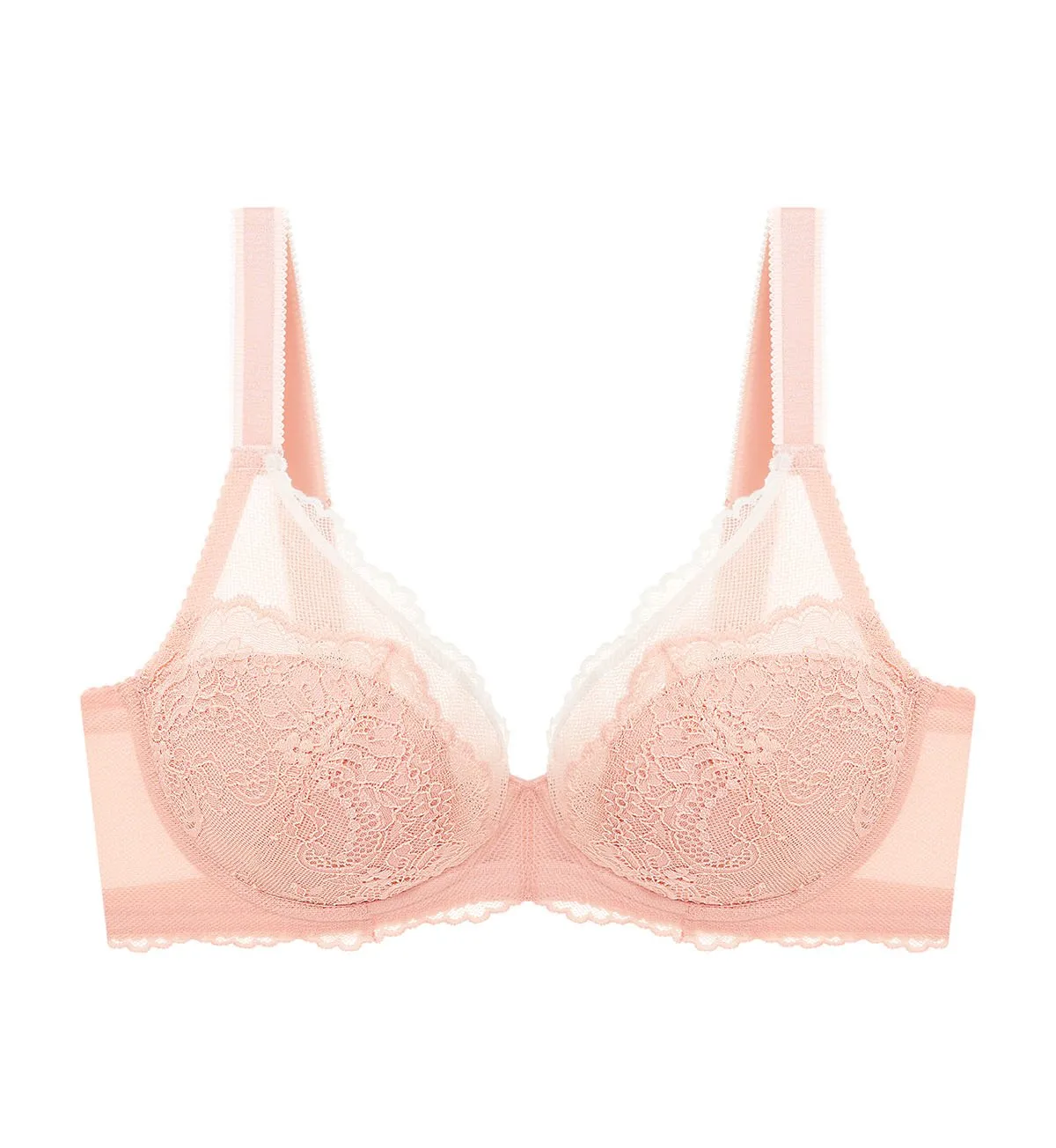 Beauty Layer Wired Padded Bra