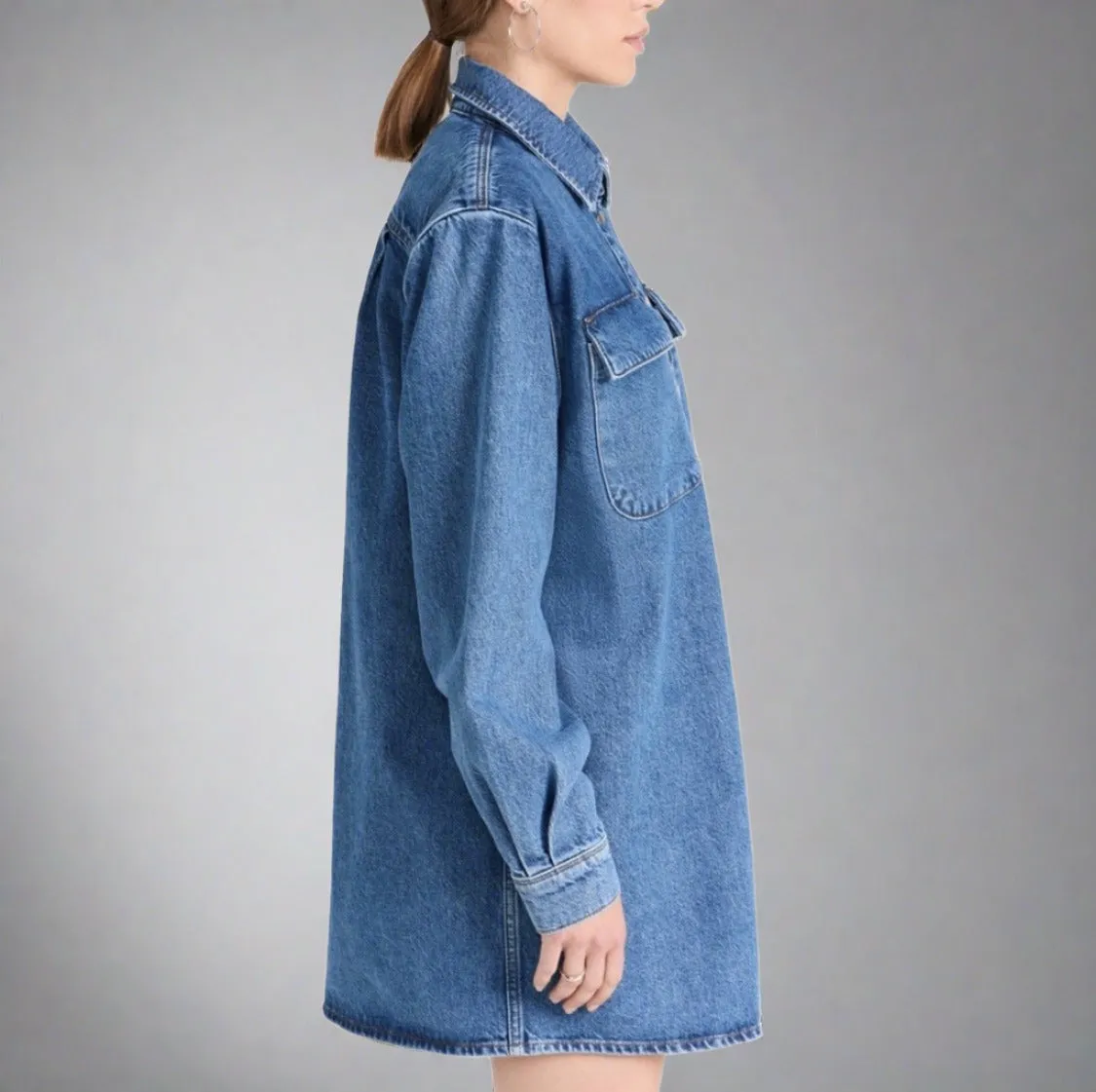 FRAME Denim A-Line Shirt Dress