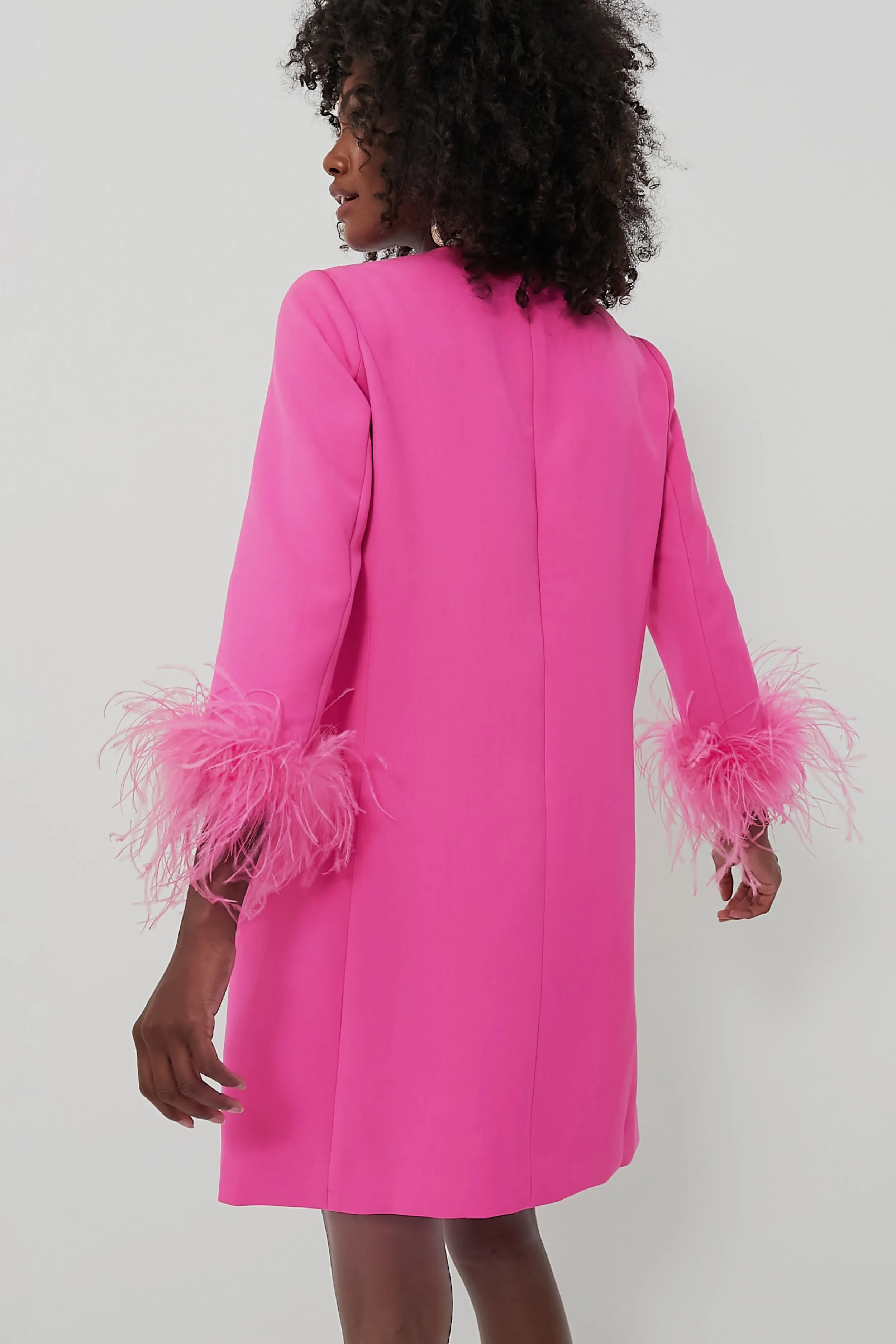 Hot Pink Feather Mod Mary Dress