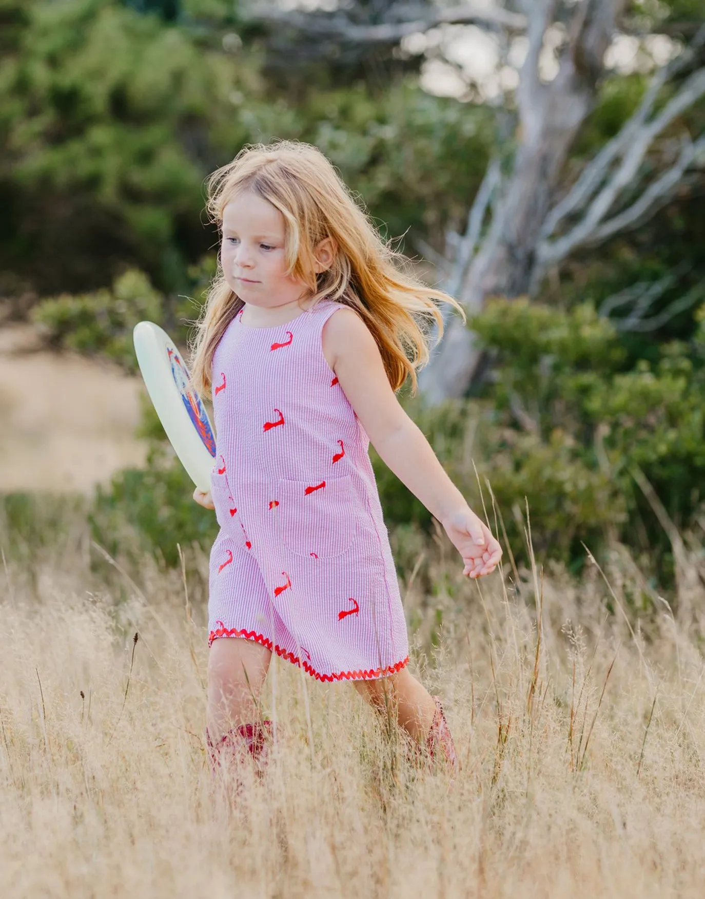 Pink Seersucker Dress with Pink Embroidered Cape Cods