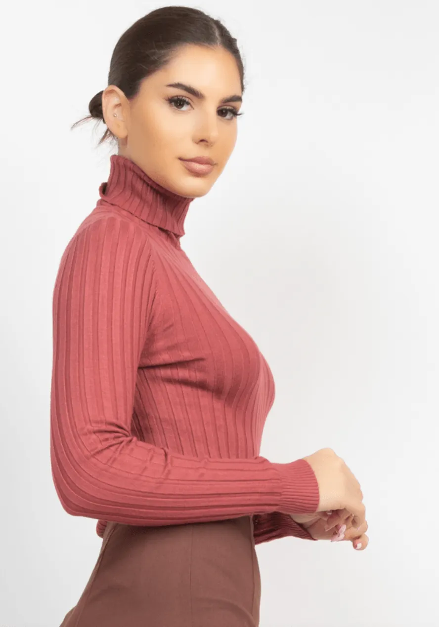 Ribbed long sleeve turtleneck sweater HMSW50167