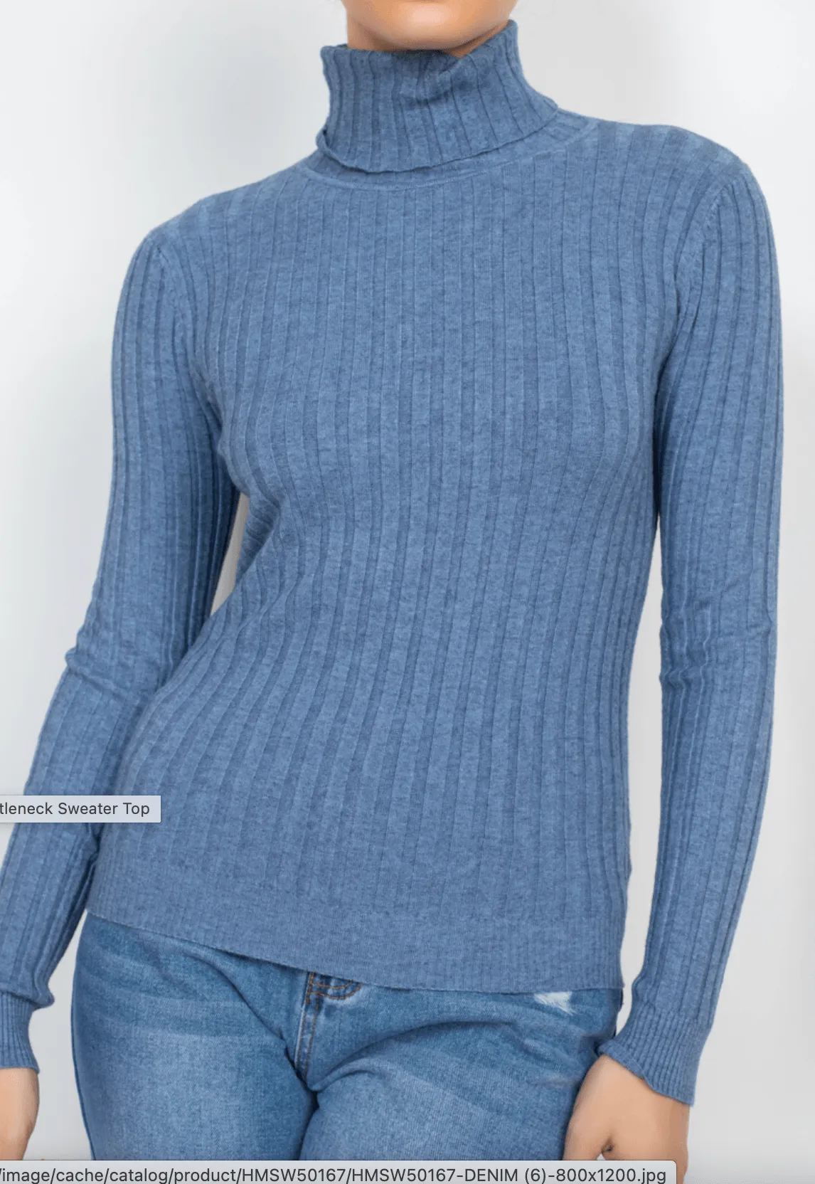 Ribbed long sleeve turtleneck sweater HMSW50167
