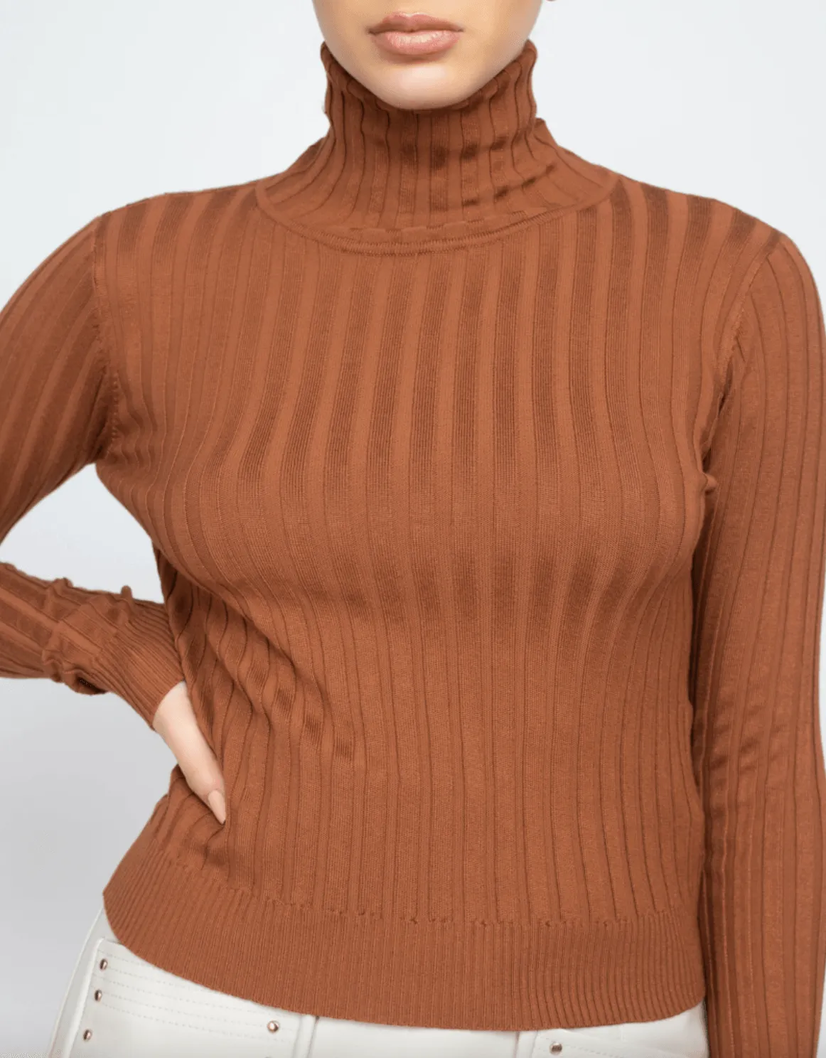 Ribbed long sleeve turtleneck sweater HMSW50167