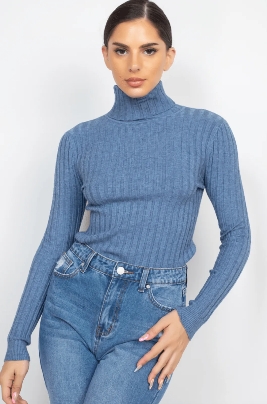 Ribbed long sleeve turtleneck sweater HMSW50167