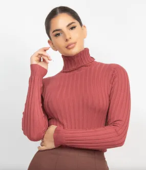 Ribbed long sleeve turtleneck sweater HMSW50167