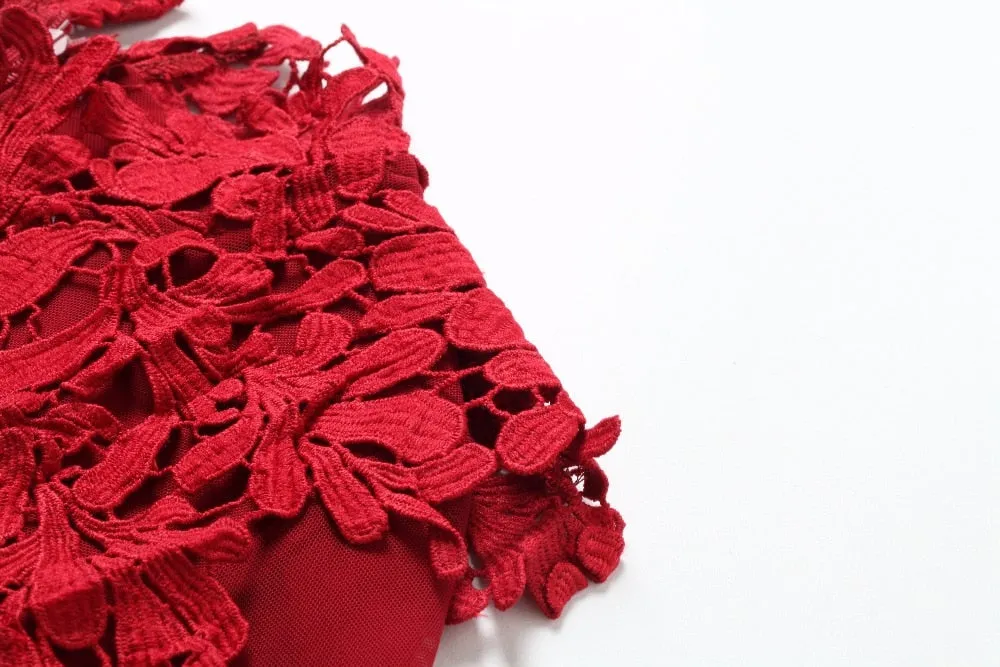 Ruffles Hollow Out Lace Bodycon Dress